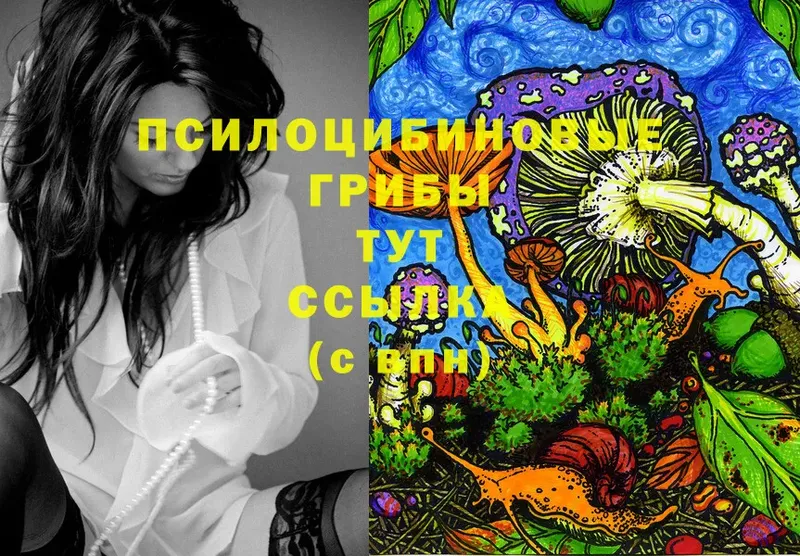 Галлюциногенные грибы MAGIC MUSHROOMS  где продают   Карталы 